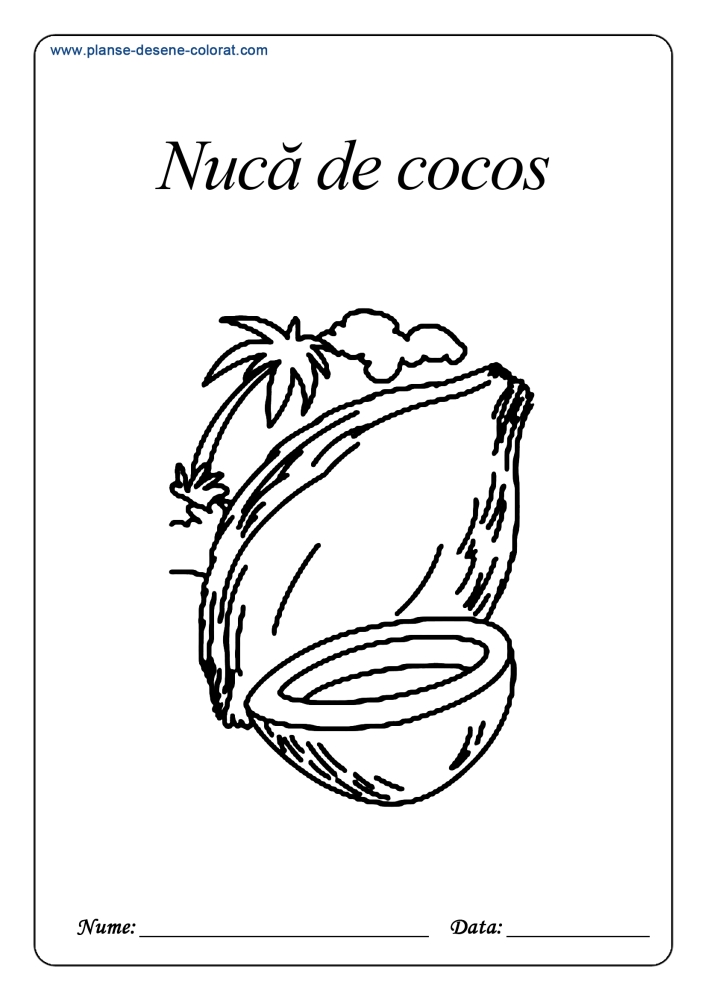 planse de colorat Nuca de cocos